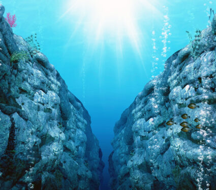 View,From,The,Mariana,Trench,,The,Deepest,Depths,In,The