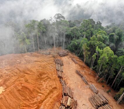Global-deforestation.jpg