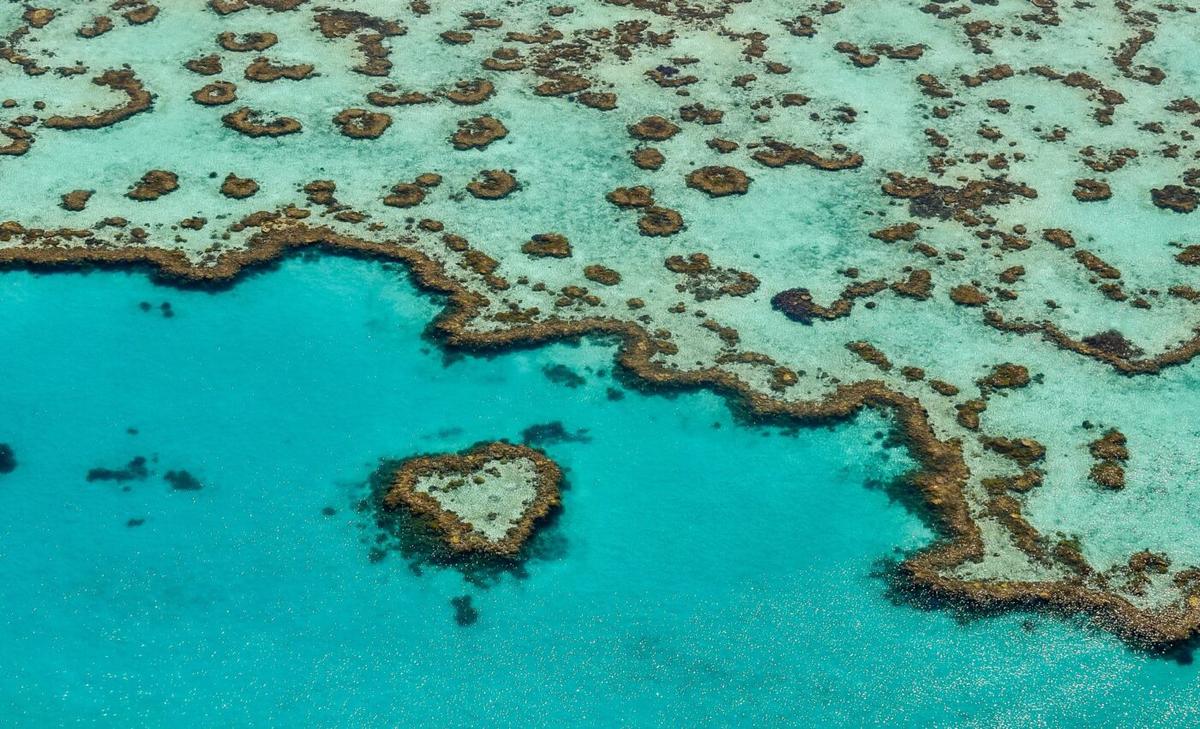 Shading the Great Barrier Reef may slow coral bleaching