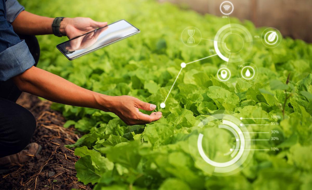 New invention enables humans to 'talk' to plants using light
