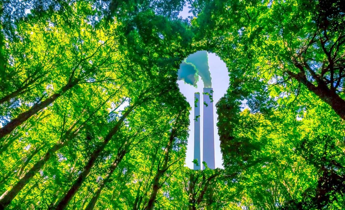 Greenwashing jeopardizes efforts for a "nature positive" world