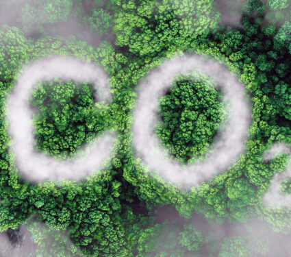 Forest,And,Co2,Fog,,Top,View.,Environmental,Pollution,And,Nature,