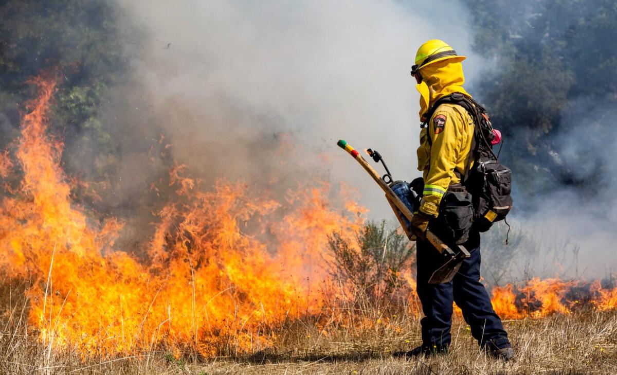 Climate change restricts the use of controlled burns, amplifying fire risks