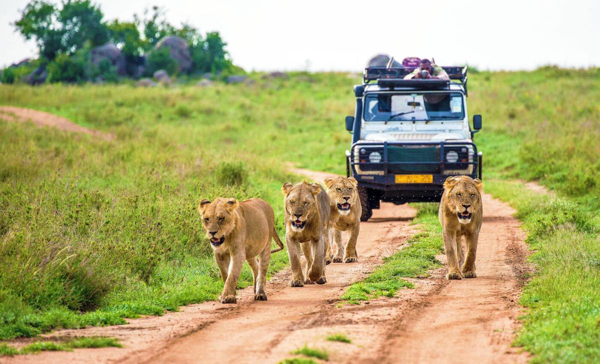 Humans are the scariest predators in the African savannah
