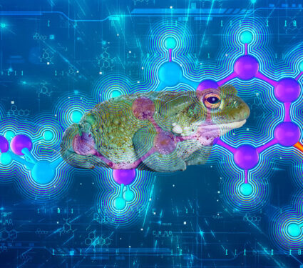 5-meo-dmt,(5-methoxy-n,n-dimethyltryptamine),,Physically,Accurate,Scientific,3d,Model,Of,The,Molecule,