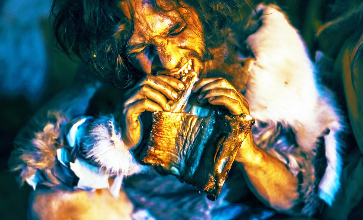 Stone age humans from Magdalenian culture practiced cannibalism as part of funeral rituals
