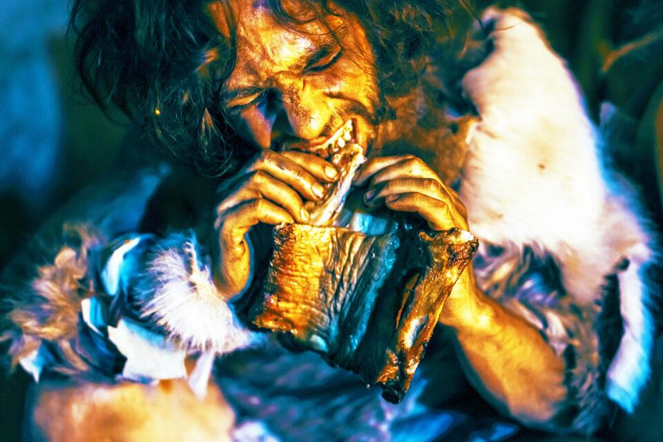 Stone age humans from Magdalenian culture practiced cannibalism as part of funeral rituals
