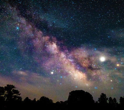 Starry,Night,In,The,Forest