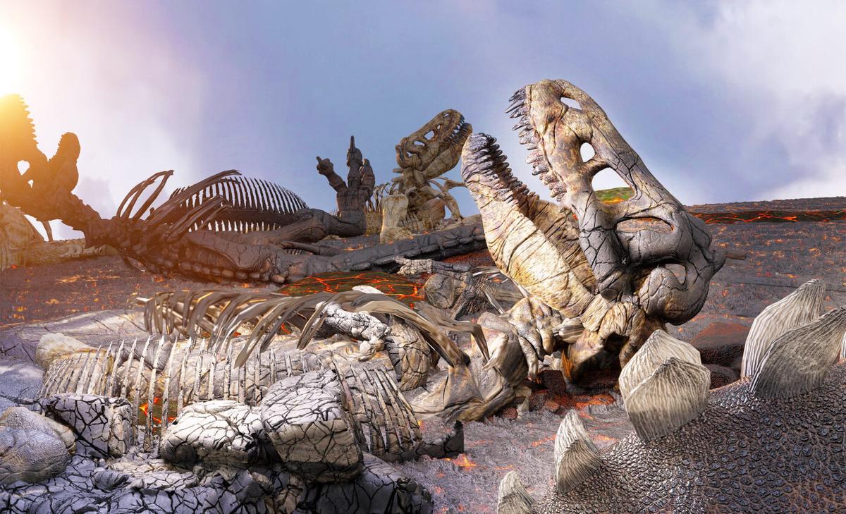 Mammals that survive mass extinctions aren’t always boring