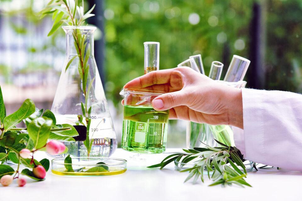 Increasing plant extinction threatens the future of medicine and human health