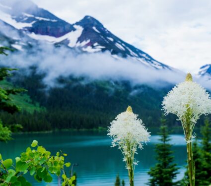 Glacier-National-Park.jpg
