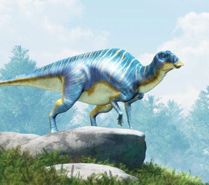 Maiasaura,,A,Hadrosaur,,On,Boulders,Atop,A,Hill.,This,Duck