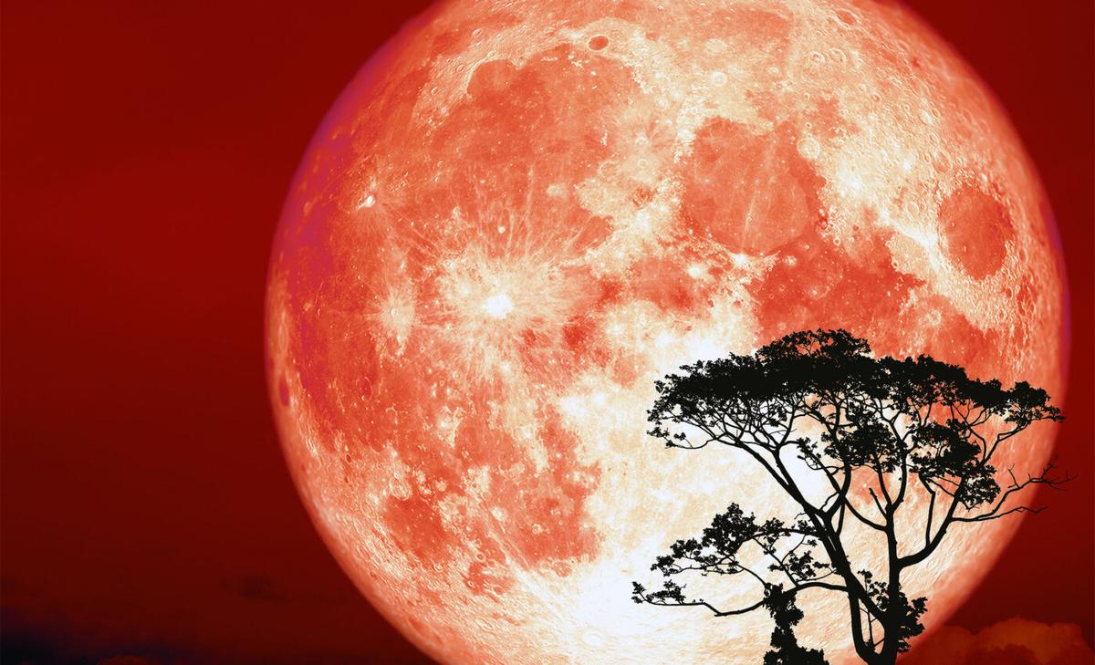 Huge Hunter's Moon, lunar eclipse, and an ultra-bright Jupiter coming tonight