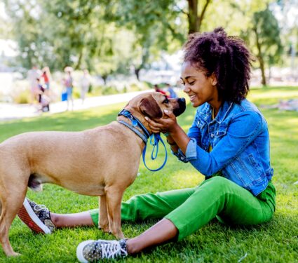 Therapy-dog.jpg