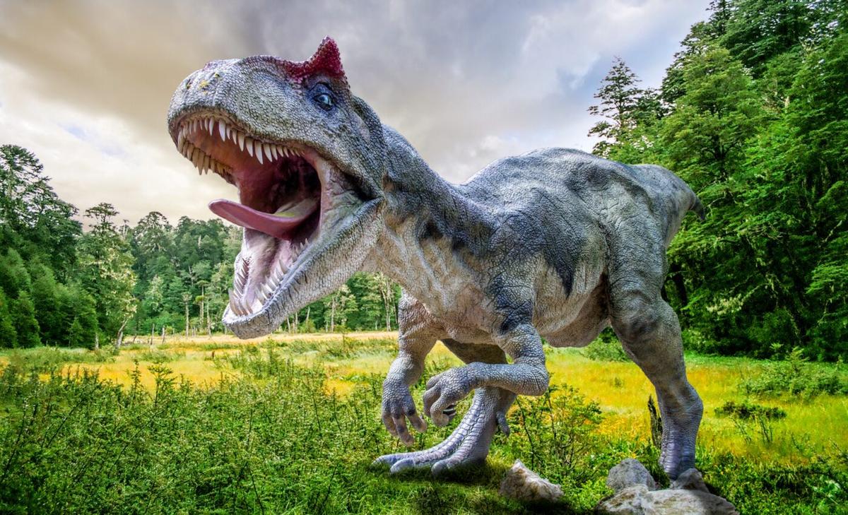 Giant dinosaur carcasses: A key food source for Jurassic predators?