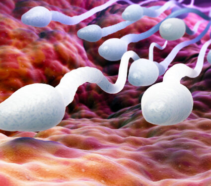 Male,Sperm,Cells.,3d,Illustration