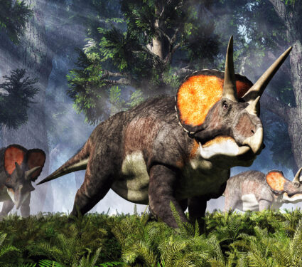 Three,Triceratops,,Ceratopsian,Dinosaurs,From,The,Cretaceous,Period,,Graze,Through