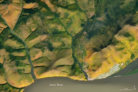 Amur-River.jpg
