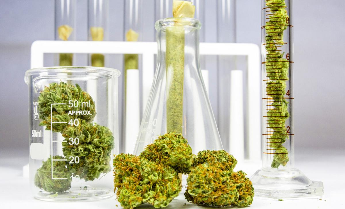 Marijuana use greatly increases risk of heart attack and stroke