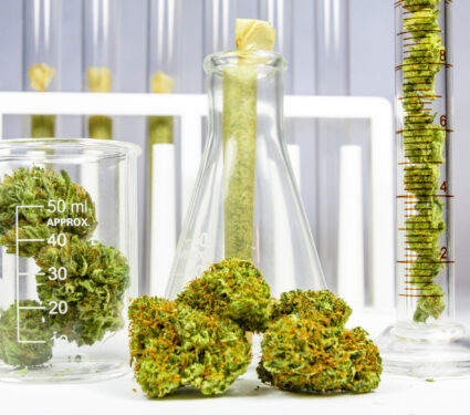 Science,,Safety,,Research,,Technology,And,Cannabis,-,The,Increasingly,Legal,