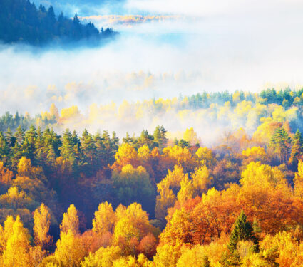 Breathtaking,Panoramic,Aerial,View,Of,The,Hills,Of,Colorful,Red,