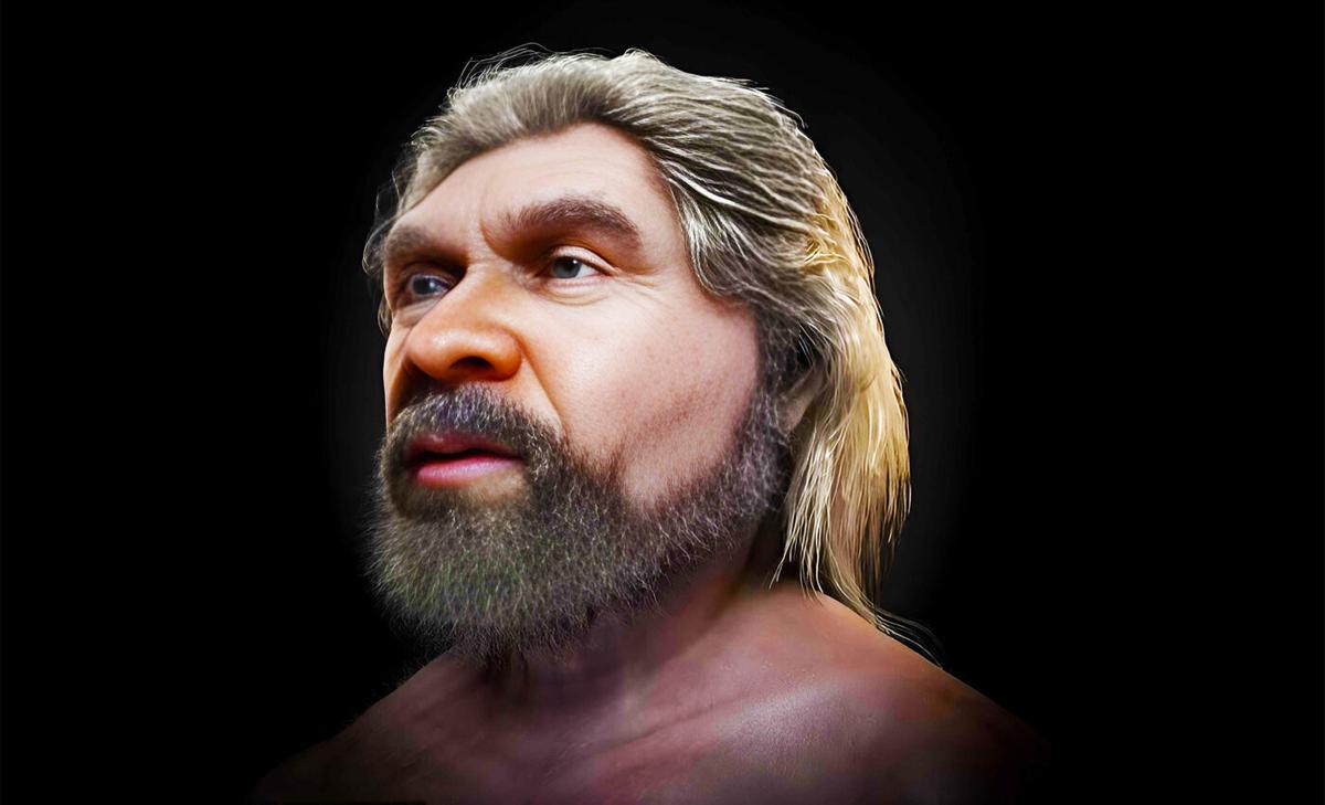 Reconstructed face of a Neanderthal reveals a 'softer side' of our relative