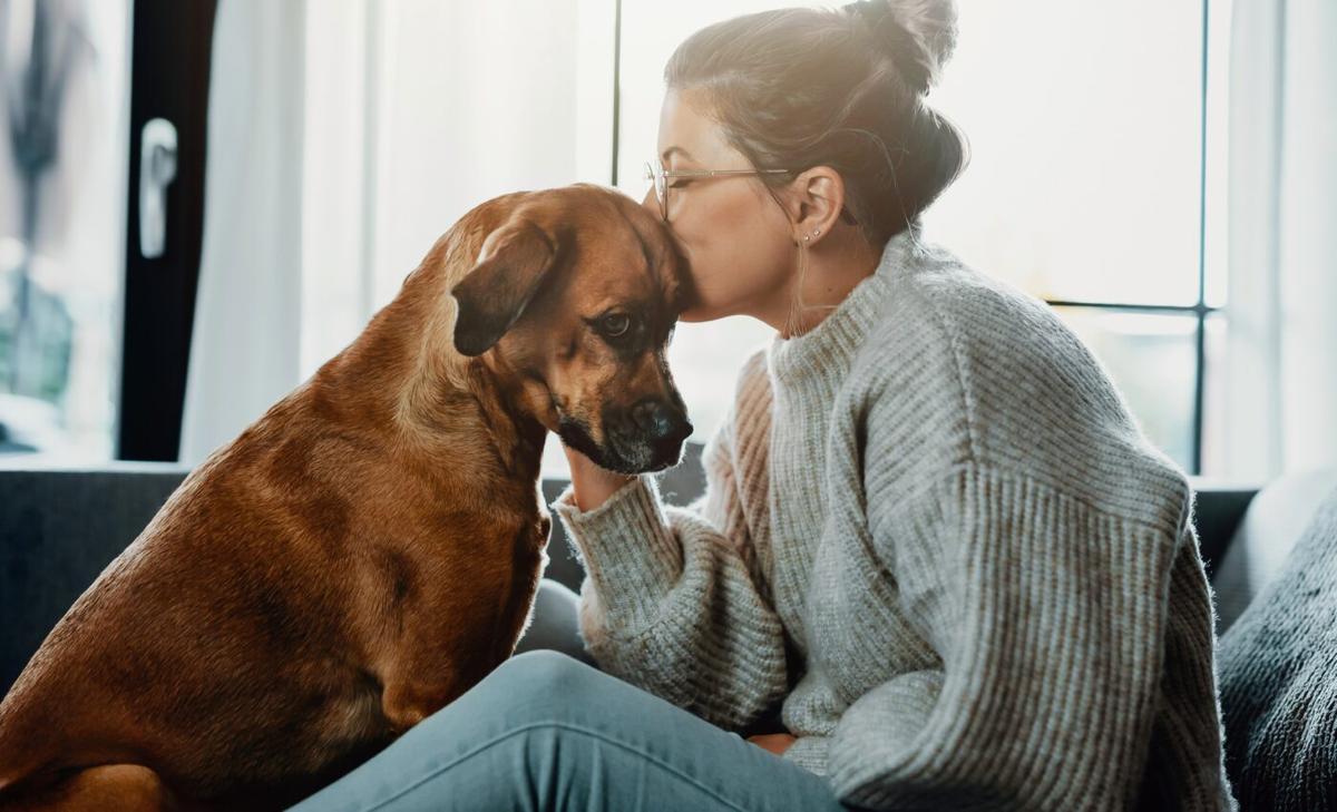 Pets did not improve emotional well-being during the pandemic
