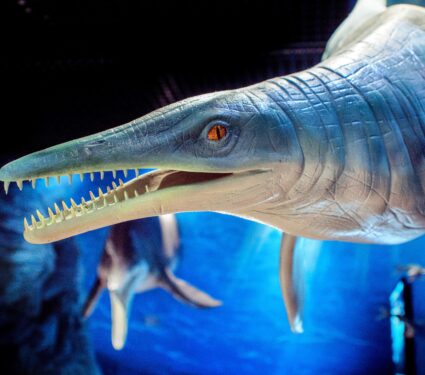 Mosasaurs.jpg