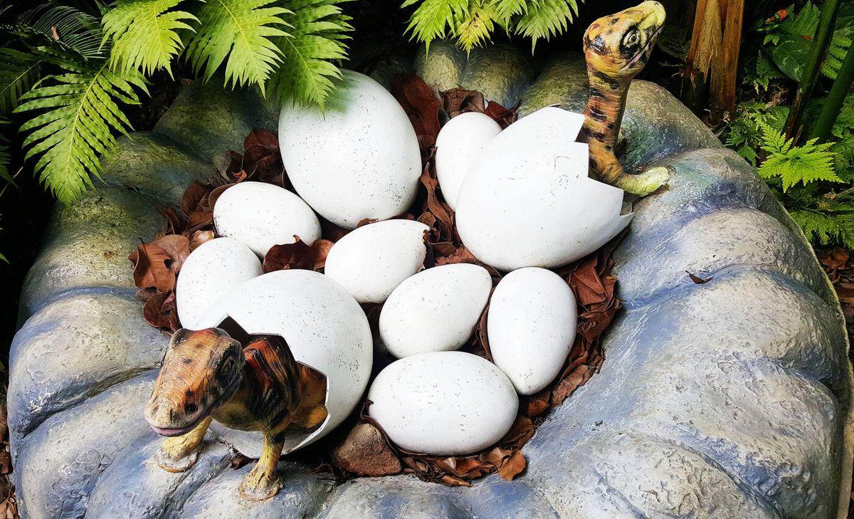 The first dinosaur eggs probably had a leathery texture