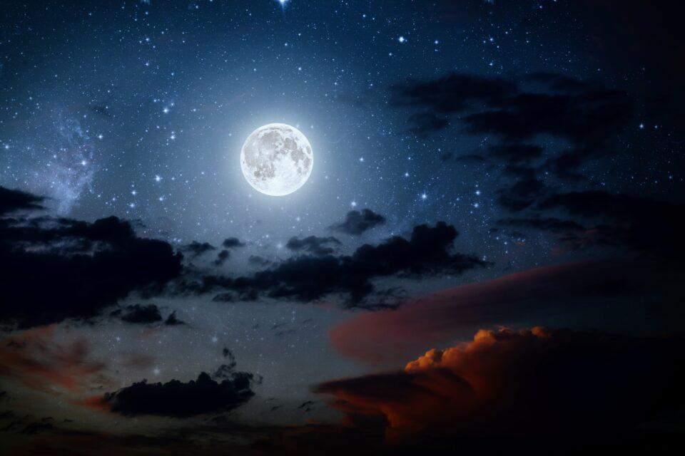 Marine worms can distinguish sunlight from moonlight
