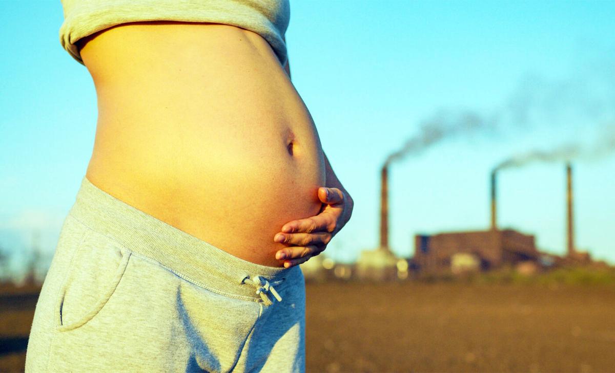 Air pollution exposure in the womb harms offspring reproductive health