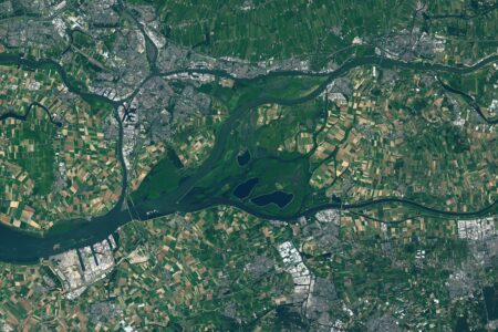 Biesbosch2.jpg