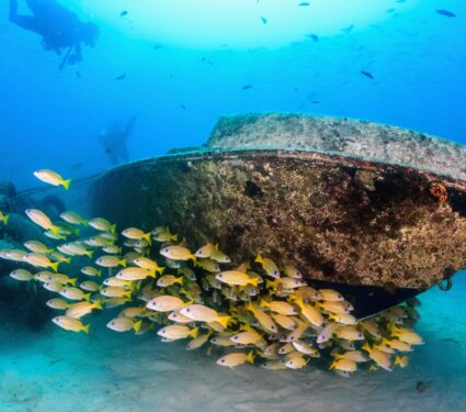 Shipwreck-sites.jpg