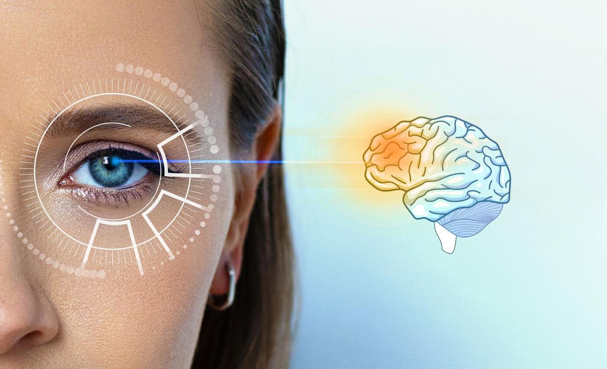 Visual masking: Your brain can see and process information without "your" knowledge