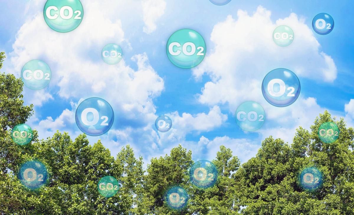 Carbon dioxide becomes a more potent greenhouse gas as climate changes