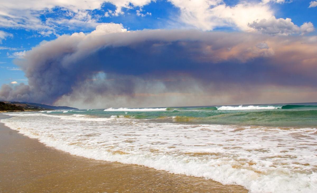 Wildfire ash fertilizes the ocean and boosts marine life