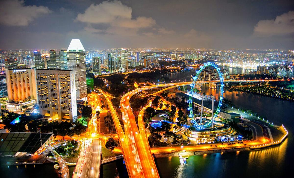 Artificial light is luring birds to their deaths around the world by the millions