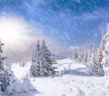 Snowstorm,In,The,Mountains