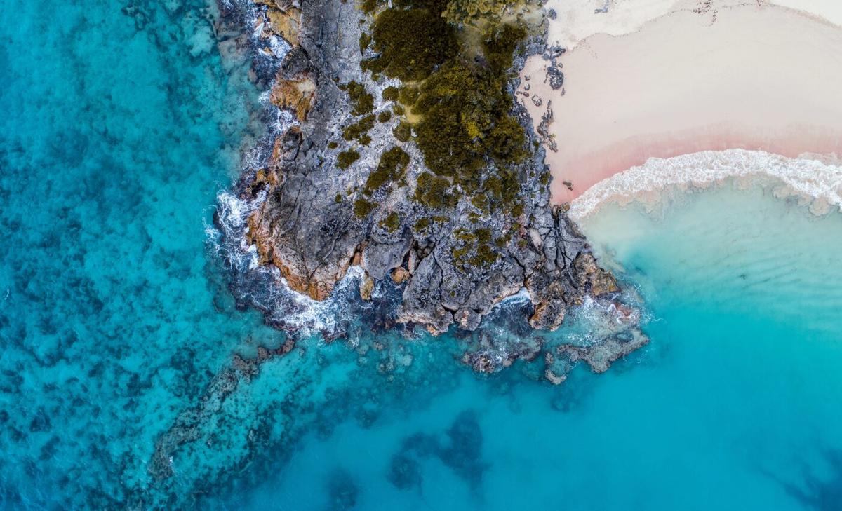 Alarming shifts in ocean health: Less oxygen, more heat and acidity