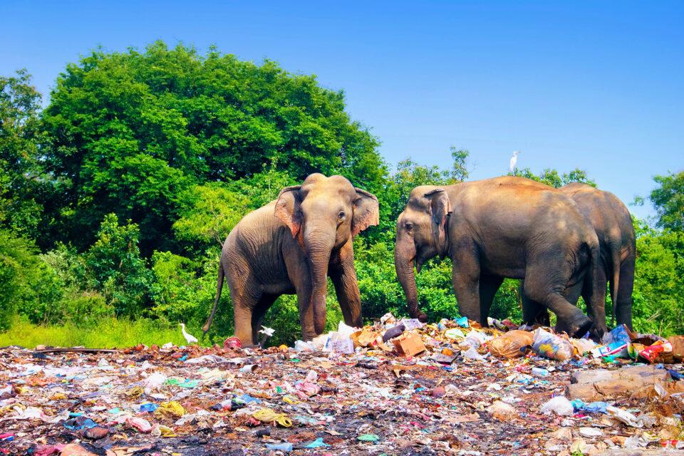 $7 trillion invested every year in products and activities that directly harm nature
