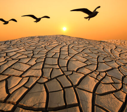 Cracked,Earth,At,Ubonratchatani,,Thailand.