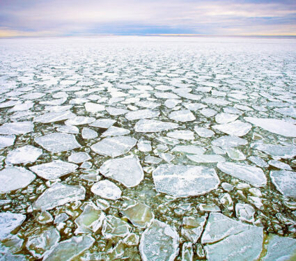 Drift,Ice,In,Baltic,Sea