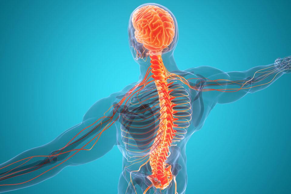 Treating depression with electrical stimulation of the spinal cord