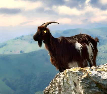 Early-Neolithic.jpg