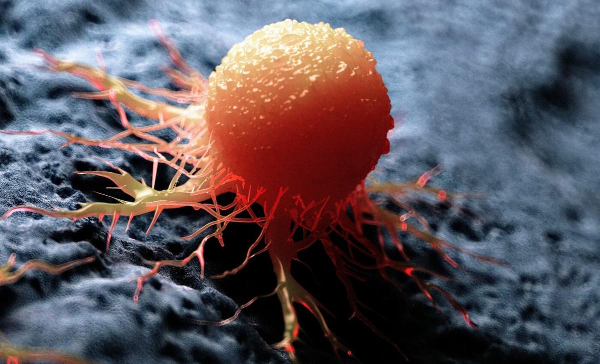 "Chaotic" protein that fuels 75% of all cancers can be controlled with new therapy