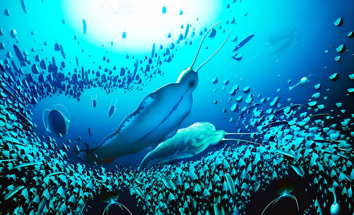 Predatory worms known as "terror beasts" roamed the seas 500 million years ago