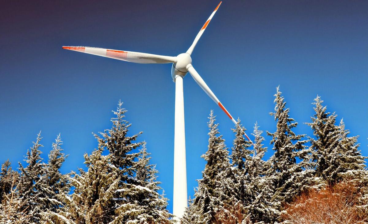 Wind turbines are displacing bats from their forest habitats