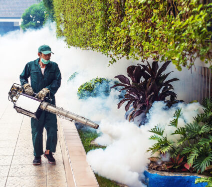 Man,Work,Fogging,To,Eliminate,Mosquito,For,Preventing,Spread,Dengue