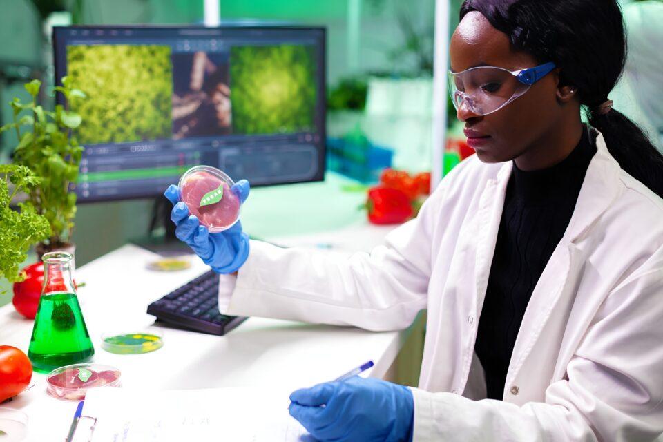 Cultivated meat production costs slashed by 90 percent with new technology