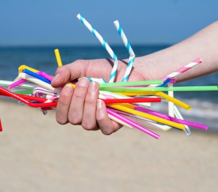 Plastic-straws.jpg